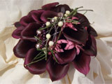 Rose S