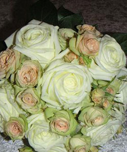 brudebuket hvide roser