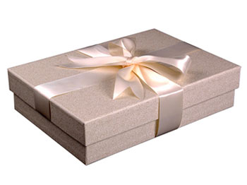 opbevaringsæske til brudekjoler