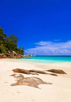 Seychellerne Praslin beach
