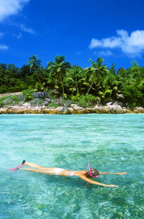 Snorkling på Seychellerne