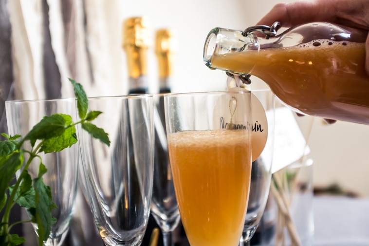 mimosa blandes