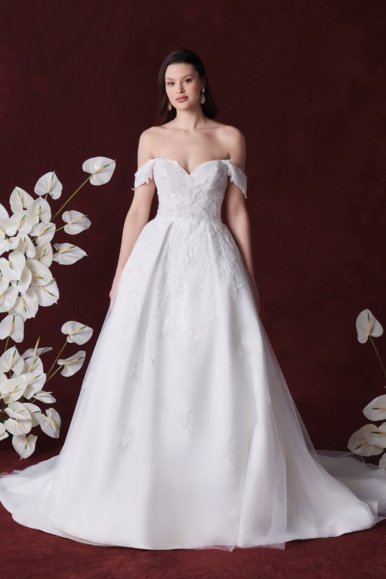 justin alexander brudekjoler 2024