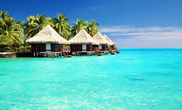 trope paradis